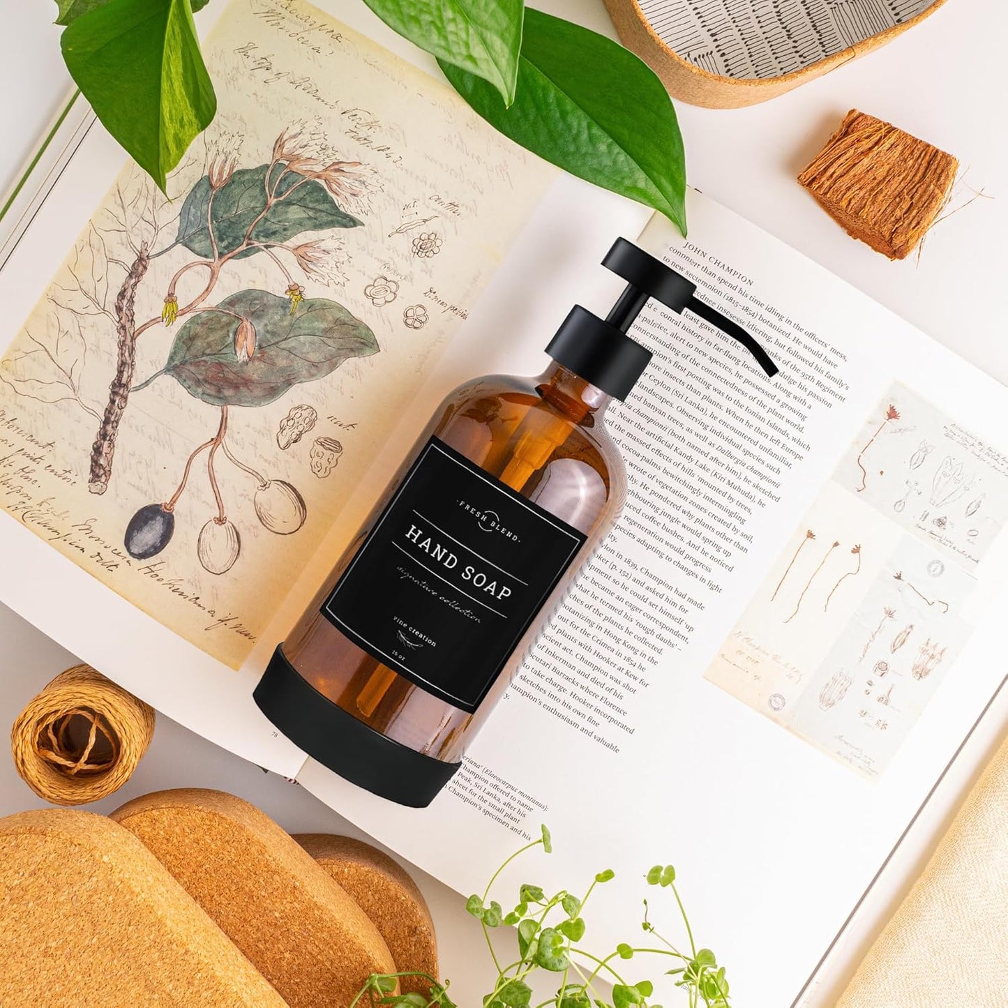 Vine Creations Amber Glass Soap Dispenser Set - Kitchen Soap Dispenser Set with Stainless Steel Pump - 16 oz Dish Soap and Hand Soap Dispensers for Bathroom with Silicone Pad & Waterproof Labels