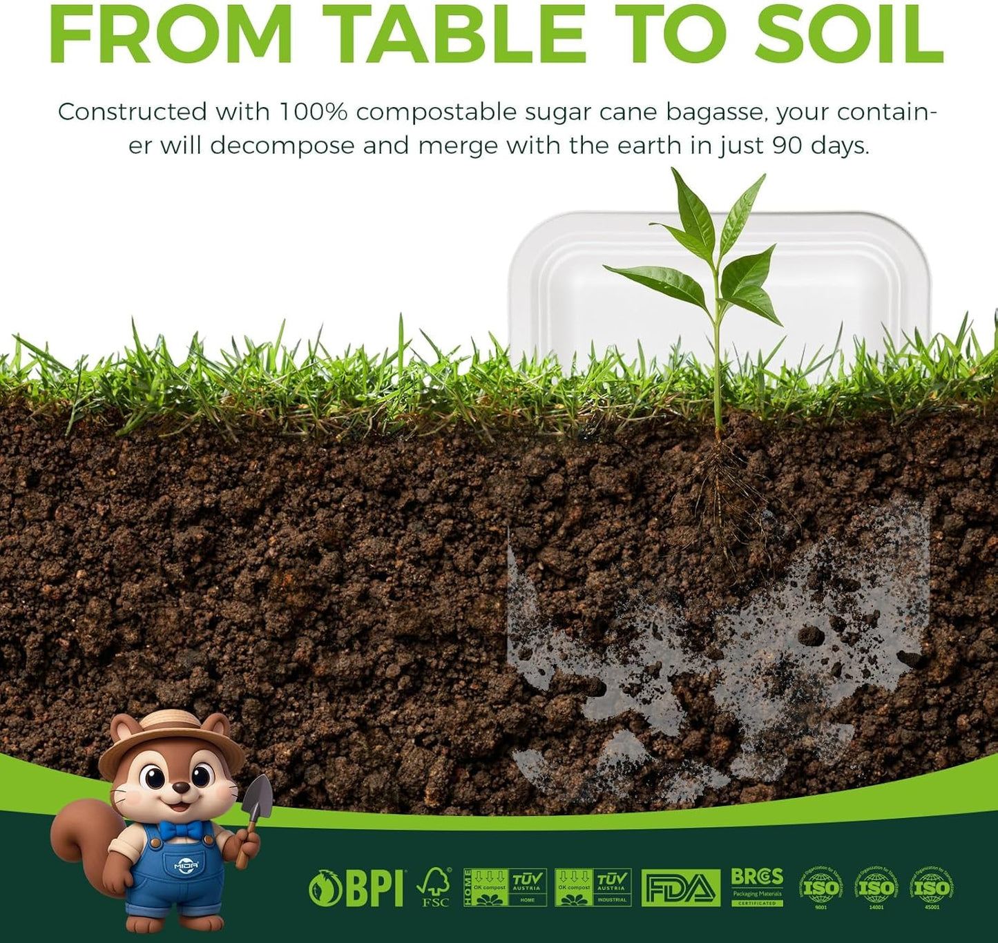 100 Pack 14 Inch Disposable Paper Food Trays for Serving Food, 100% Compostable Heavy-Duty Party Platters, Large Paper Plates for Crawfish Boil Party Supplies, Lobster, Thanksgiving